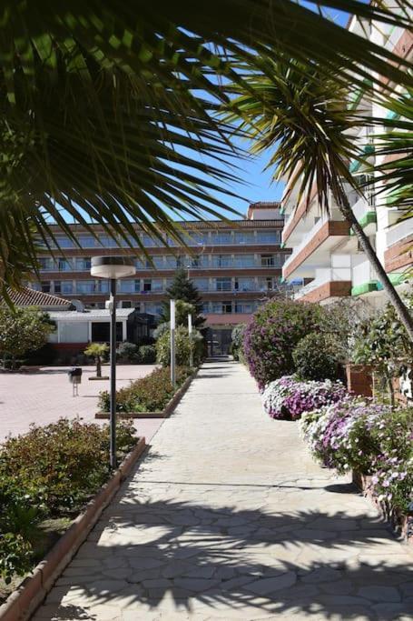 Alegre Apto Con Piscina, A 300M De La Playa. Бланес Екстериор снимка